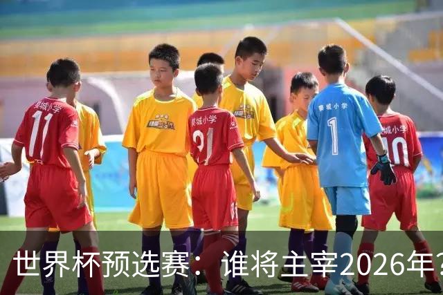 世界杯预选赛：谁将主宰2026年？