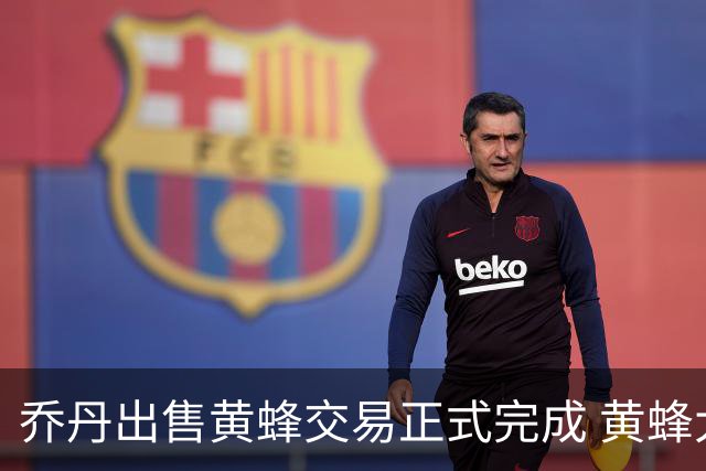 乔丹出售黄蜂交易正式完成 黄蜂大老板易主