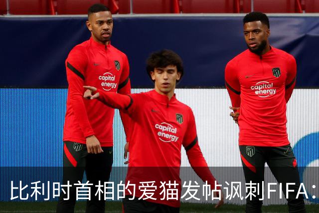 比利时首相的爱猫发帖讽刺FIFA：“红牌？”我照样继续踢！
