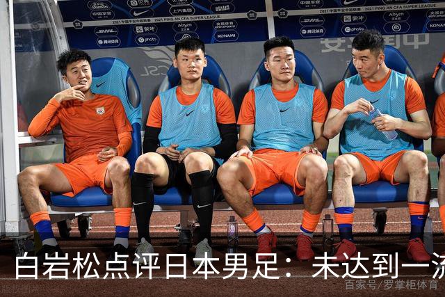 白岩松点评日本男足：未达到一流强队标准，仍需克服对荷兰的恐惧